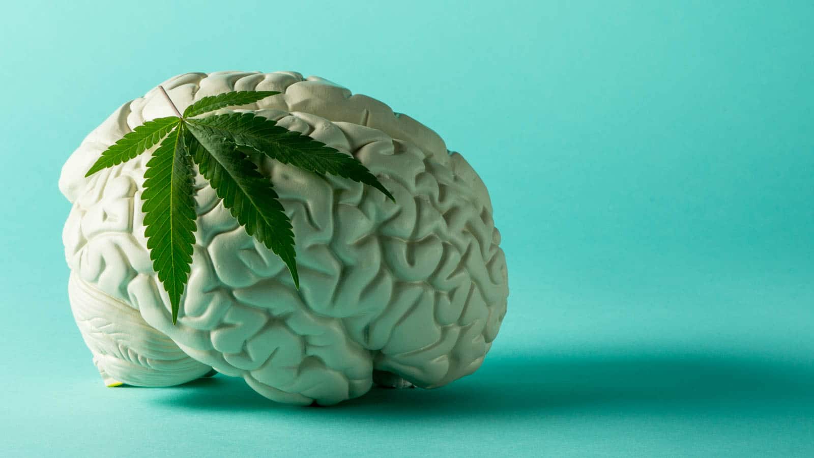 En este momento estás viendo Efectos del cannabis en el cerebro